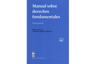 MANUAL SOBRE DERECHOS FUNDAMENTALES - Teoría General