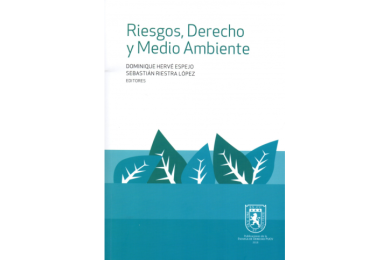 RIESGOS, DERECHO Y MEDIO AMBIENTE