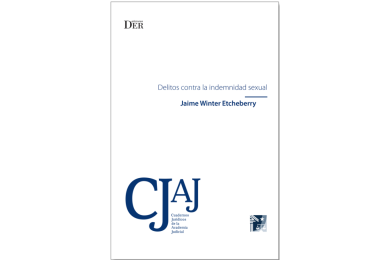 DELITOS CONTRA LA INDEMNIDAD SEXUAL