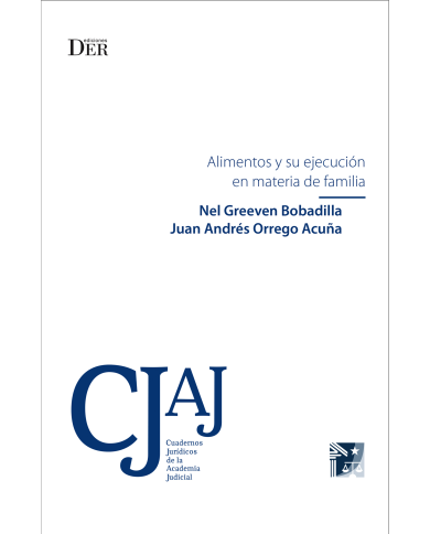ALIMENTOS Y SU EJECUCIÓN EN MATERIA DE FAMILIA