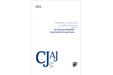 ALIMENTOS Y SU EJECUCIÓN EN MATERIA DE FAMILIA