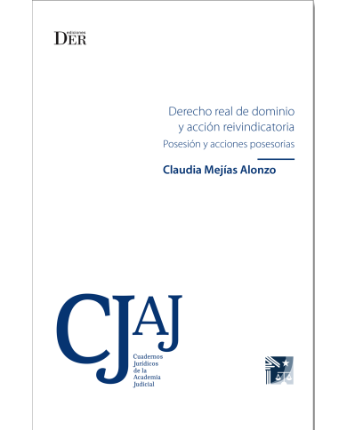 DERECHO REAL DE DOMINIO Y ACCIÓN REINVINDICATORIA - Posesión y Acciones Posesorias