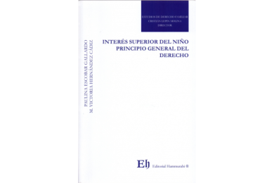 INTERÉS SUPERIOR DEL NIÑO PRINCIPIO GENERAL DEL DERECHO