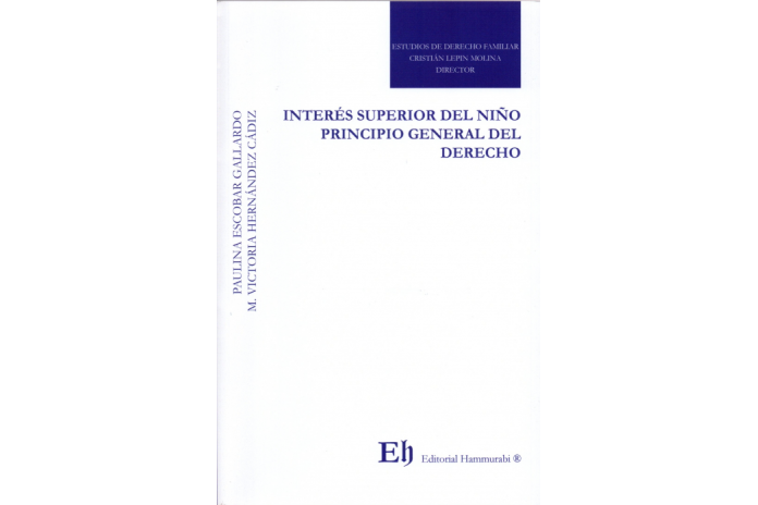 INTERÉS SUPERIOR DEL NIÑO PRINCIPIO GENERAL DEL DERECHO