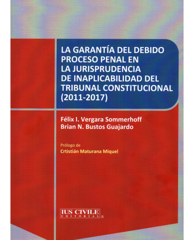 LA GARANTÍA DEL DEBIDO PROCESO PENAL EN LA JURISPRUDENCIA DE INAPLICABILIDAD DEL TRIBUNAL CONSTITUCIONAL (2011-2017)