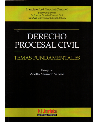 DERECHO PROCESAL CIVIL - TEMAS FUNDAMENTALES
