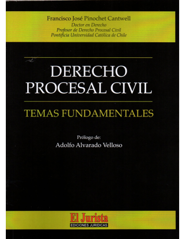 DERECHO PROCESAL CIVIL - TEMAS FUNDAMENTALES