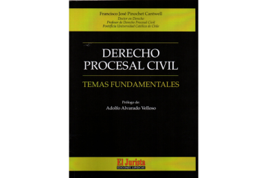 DERECHO PROCESAL CIVIL - TEMAS FUNDAMENTALES