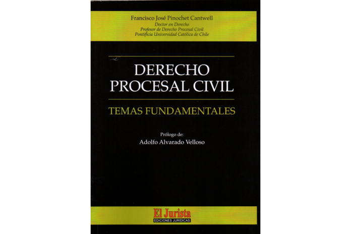 DERECHO PROCESAL CIVIL - TEMAS FUNDAMENTALES
