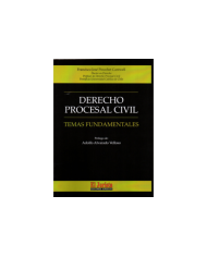 DERECHO PROCESAL CIVIL - TEMAS FUNDAMENTALES