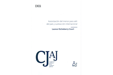 AUTORIZACIÓN DEL MENOR PARA SALIR DEL PAÍS Y SUSTRACCIÓN INTERNACIONAL