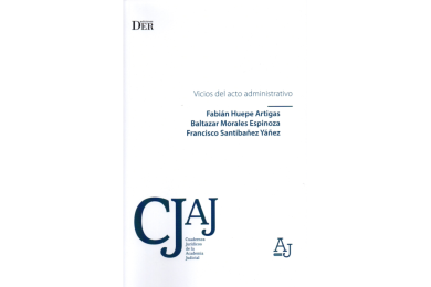 VICIOS DEL ACTO ADMINISTRATIVO