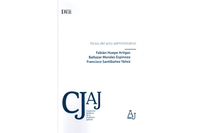 VICIOS DEL ACTO ADMINISTRATIVO