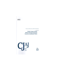 VICIOS DEL ACTO ADMINISTRATIVO