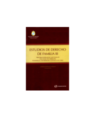 ESTUDIOS DE DERECHO DE FAMILIA III - Terceras Jornadas Nacionales Facultad de Derecho Pontificia Universidad Católica de Chile