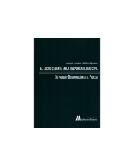 EL LUCRO CESANTE EN LA RESPONSABILIDAD CIVIL - Su prueba y determinación en el proceso