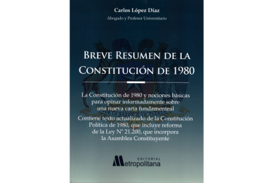 BREVE RESUMEN DE LA CONSTITUCIÓN DE 1980