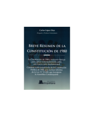 BREVE RESUMEN DE LA CONSTITUCIÓN DE 1980