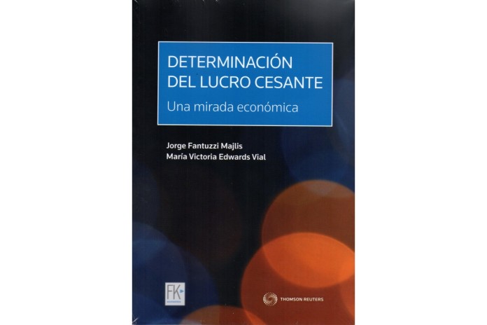 DETERMINACIÓN DEL LUCRO CESANTE - Una mirada económica