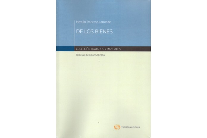DE LOS BIENES