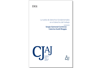 LA TUTELA DE DERECHOS FUNDAMENTALES EN EL DERECHO DEL TRABAJO