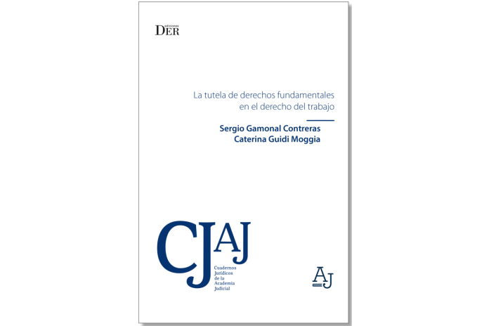 LA TUTELA DE DERECHOS FUNDAMENTALES EN EL DERECHO DEL TRABAJO