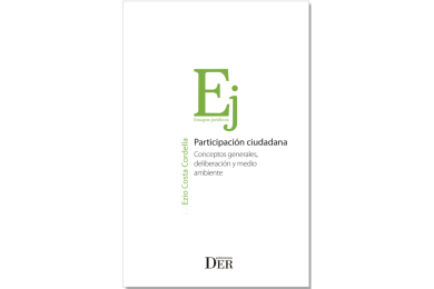 PARTICIPACIÓN CIUDADANA - CONCEPTOS GENERALES, DELIBERACIÓN Y MEDIO AMBIENTE