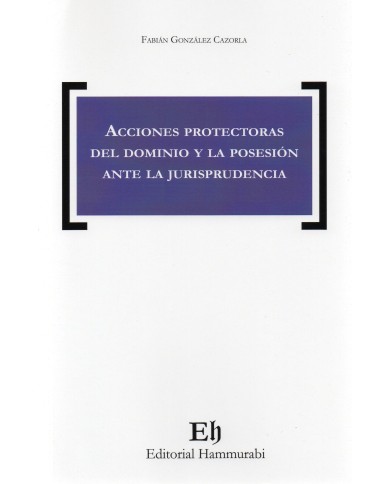 ACCIONES PROTECTORAS DEL DOMINIO Y LA POSESIÓN ANTE LA JURISPRUDENCIA
