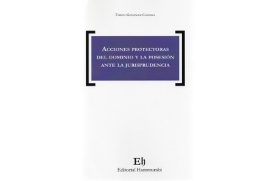 ACCIONES PROTECTORAS DEL DOMINIO Y LA POSESIÓN ANTE LA JURISPRUDENCIA