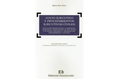 JUICIO EJECUTIVO Y PROCEDIMIENTOS EJECUTIVOS CIVILES
