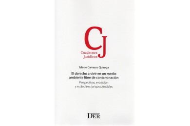 EL DERECHO A VIVIR EN UN MEDIO AMBIENTE LIBRE DE CONTAMINACIÓN - PERSPECTIVAS, EVOLUCIÓN Y ESTÁNDARES JURISPRUDENCIALES
