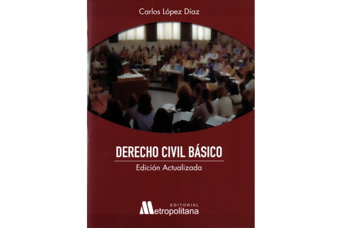 DERECHO CIVIL BÁSICO