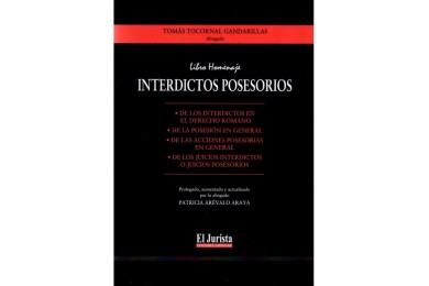 INTERDICTOS POSESORIOS