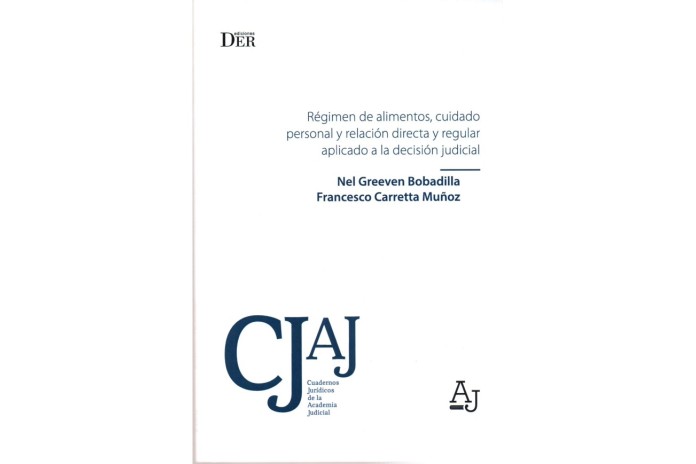 RÉGIMEN DE ALIMENTOS, CUIDADO PERSONAL Y RELACION DIRECTA Y REGULAR APLICADO A LA DECISIÓN JUDICIAL