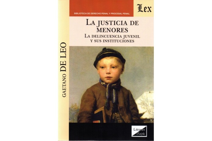 LA JUSTICIA DE MENORES - LA DELINCUENCIA JUVENIL Y SUS INSTITUCIONES