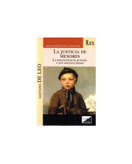LA JUSTICIA DE MENORES - LA DELINCUENCIA JUVENIL Y SUS INSTITUCIONES