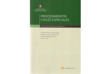 PROCEDIMIENTOS CIVILES ESPECIALES (1ª Edición)