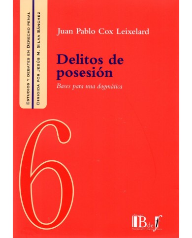 (6) DELITOS DE POSESIÓN - BASES PARA UNA DOGMÁTICA