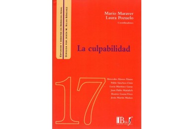 (17) LA CULPABILIDAD