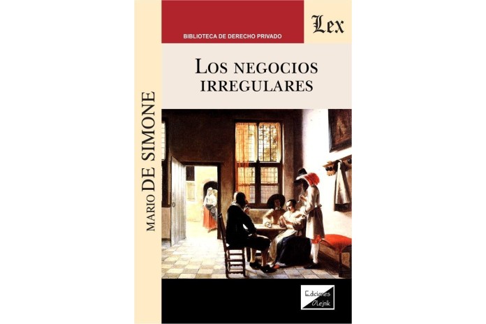 LOS NEGOCIOS IRREGULARES