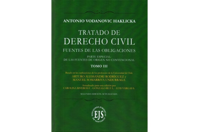 TRATADO DE DERECHO CIVIL- FUENTES DE LAS OBLIGACIONES - PARTE ESPECIAL: DE LAS FUENTES DE ORIGEN NO CONVENCIONAL - TOMO III