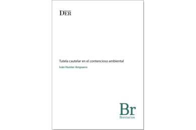 TUTELA CAUTELAR EN EL CONTENCIOSO AMBIENTAL