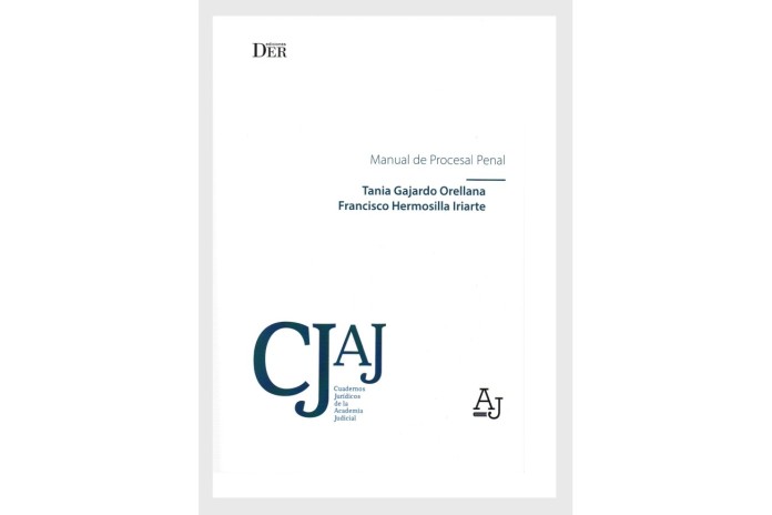 MANUAL DE PROCESAL PENAL