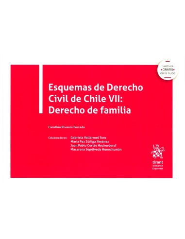 ESQUEMAS DE DERECHO CIVIL DE CHILE VII: DERECHO DE FAMILIA