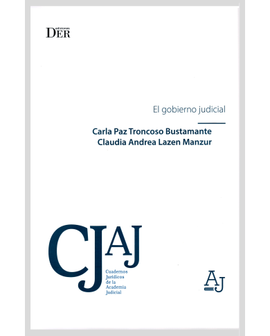 EL GOBIERNO JUDICIAL
