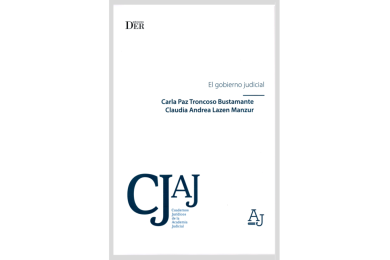 EL GOBIERNO JUDICIAL