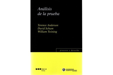 ANÁLISIS DE LA PRUEBA