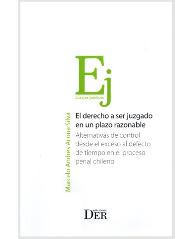 EL DERECHO A SER JUZGADO EN UN PLAZO RAZONABLE