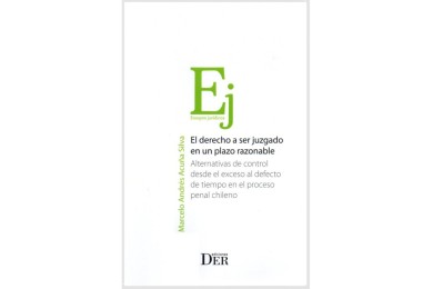 EL DERECHO A SER JUZGADO EN UN PLAZO RAZONABLE