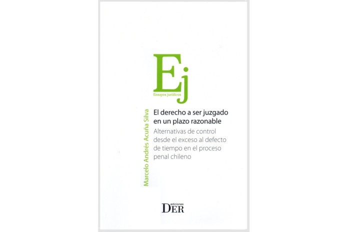 EL DERECHO A SER JUZGADO EN UN PLAZO RAZONABLE